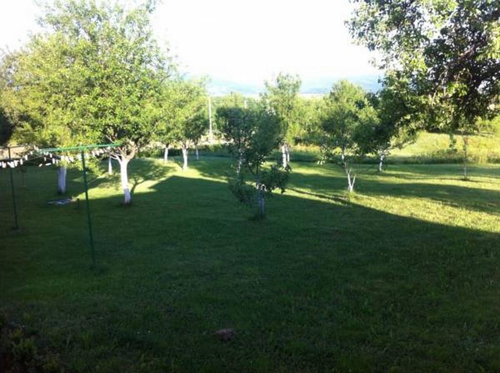 Apartment Lana Rakovica Cameră foto