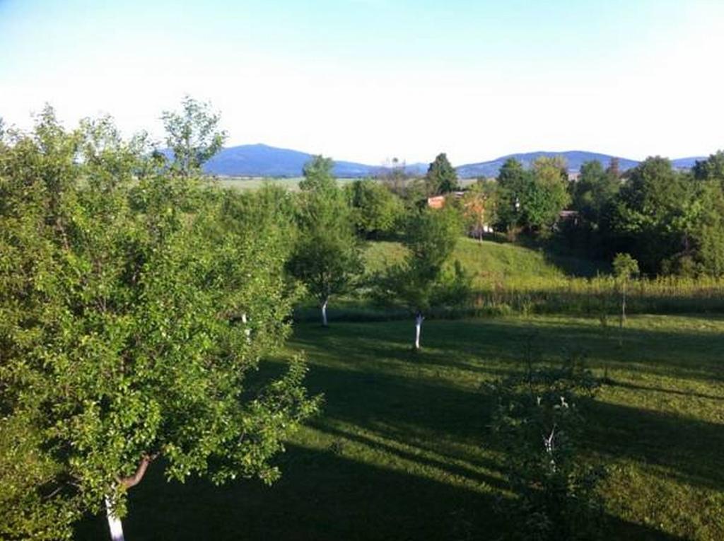 Apartment Lana Rakovica Cameră foto
